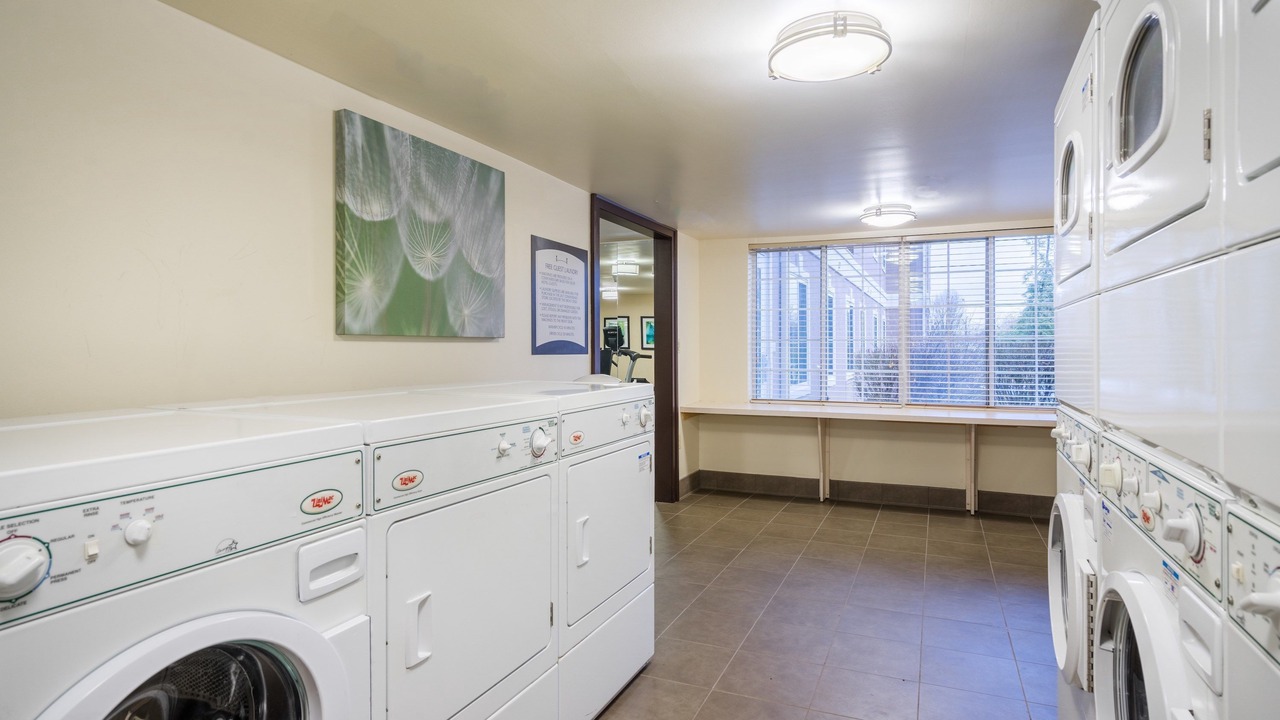 Photo of Others in East Texas