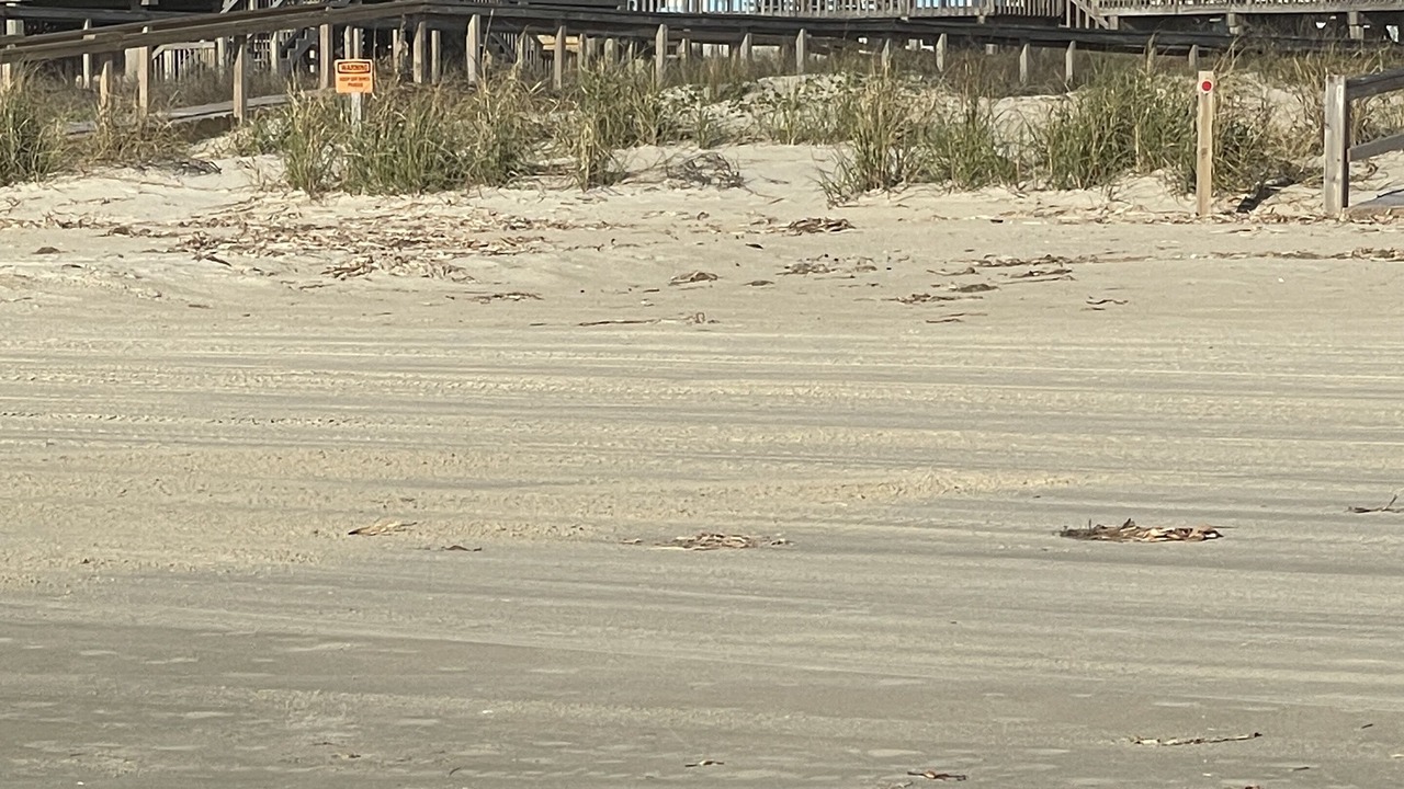 Photo of Others in Surfside Beach