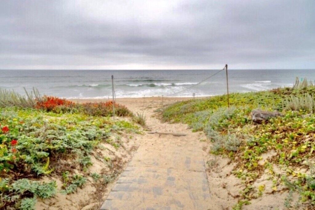 Photo of Others in Castroville