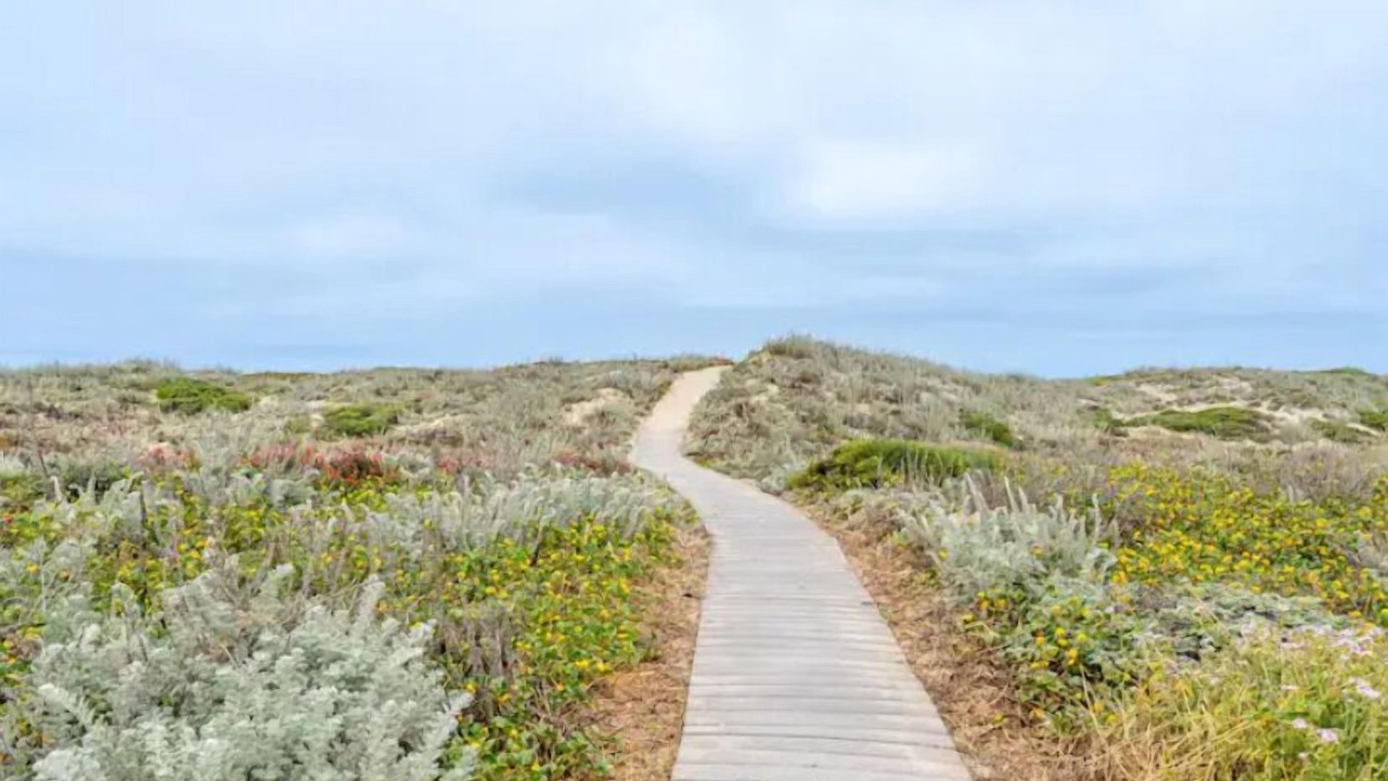 Photo of Outdoor in Castroville