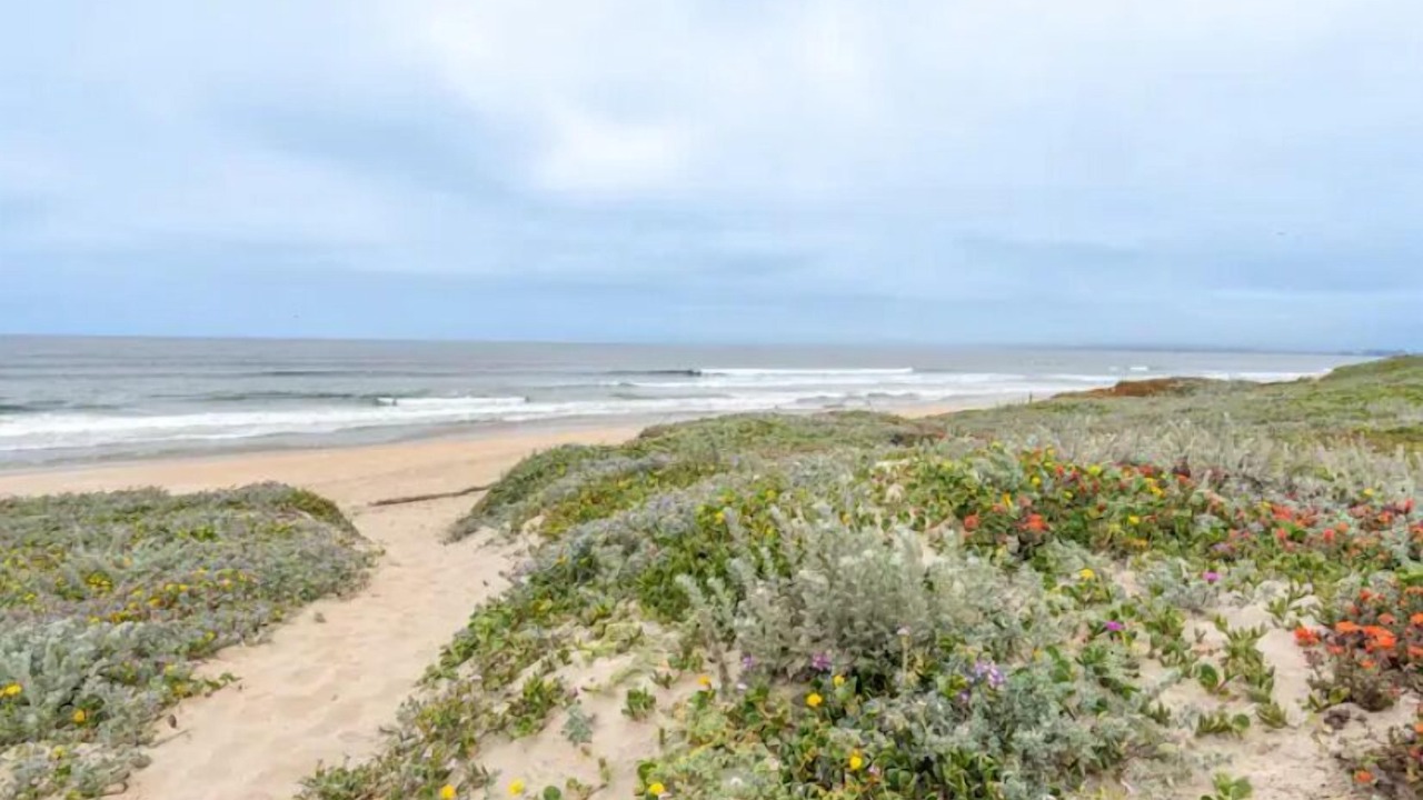 Photo of Others in Castroville