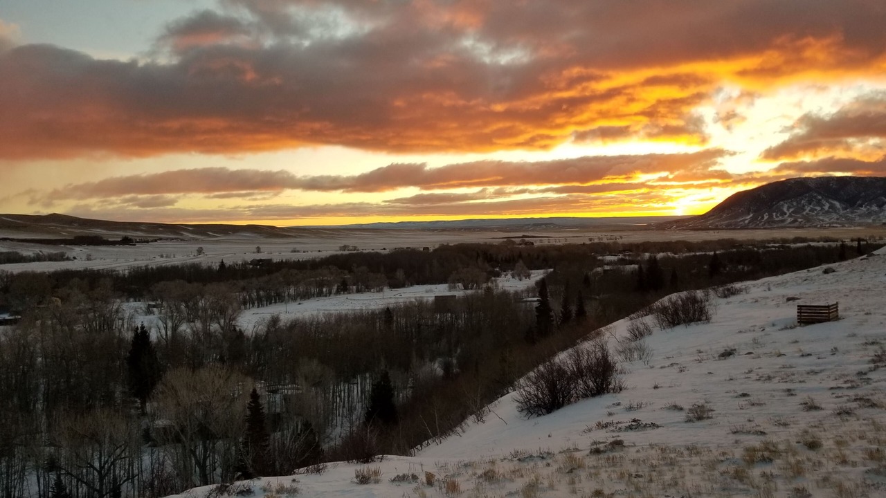 Photo of Others in Centennial