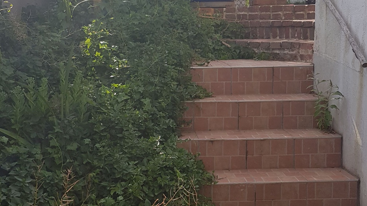 Photo of Outdoor in Saint-Marc