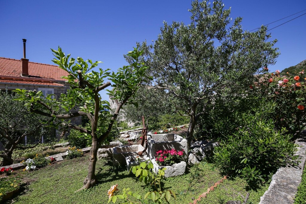 Photo of Others in Orasac