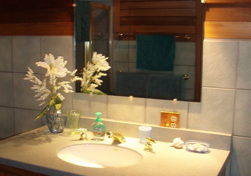 Photo of Bathroom in Oneonta