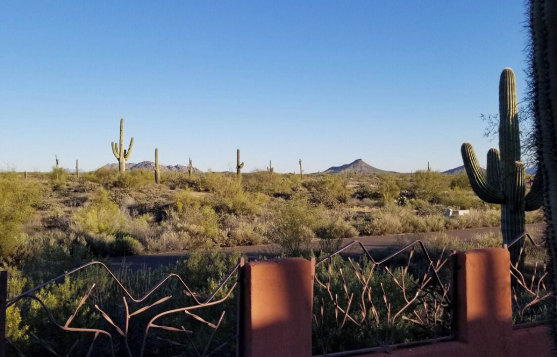 Photo of Outdoor in Pinnacle Peak