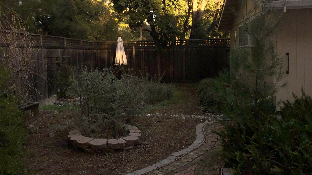 Photo of Outdoor in Davis