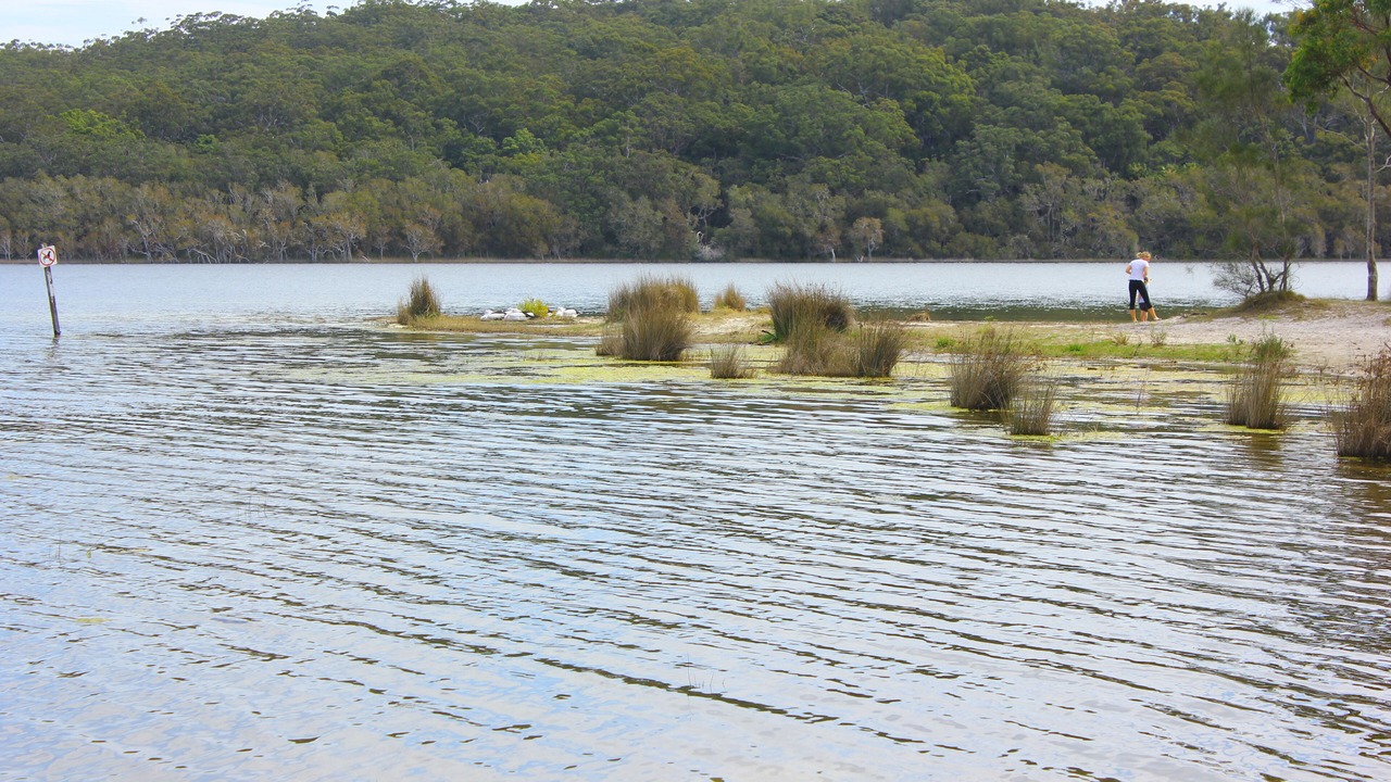Photo of Others in Smiths Lake