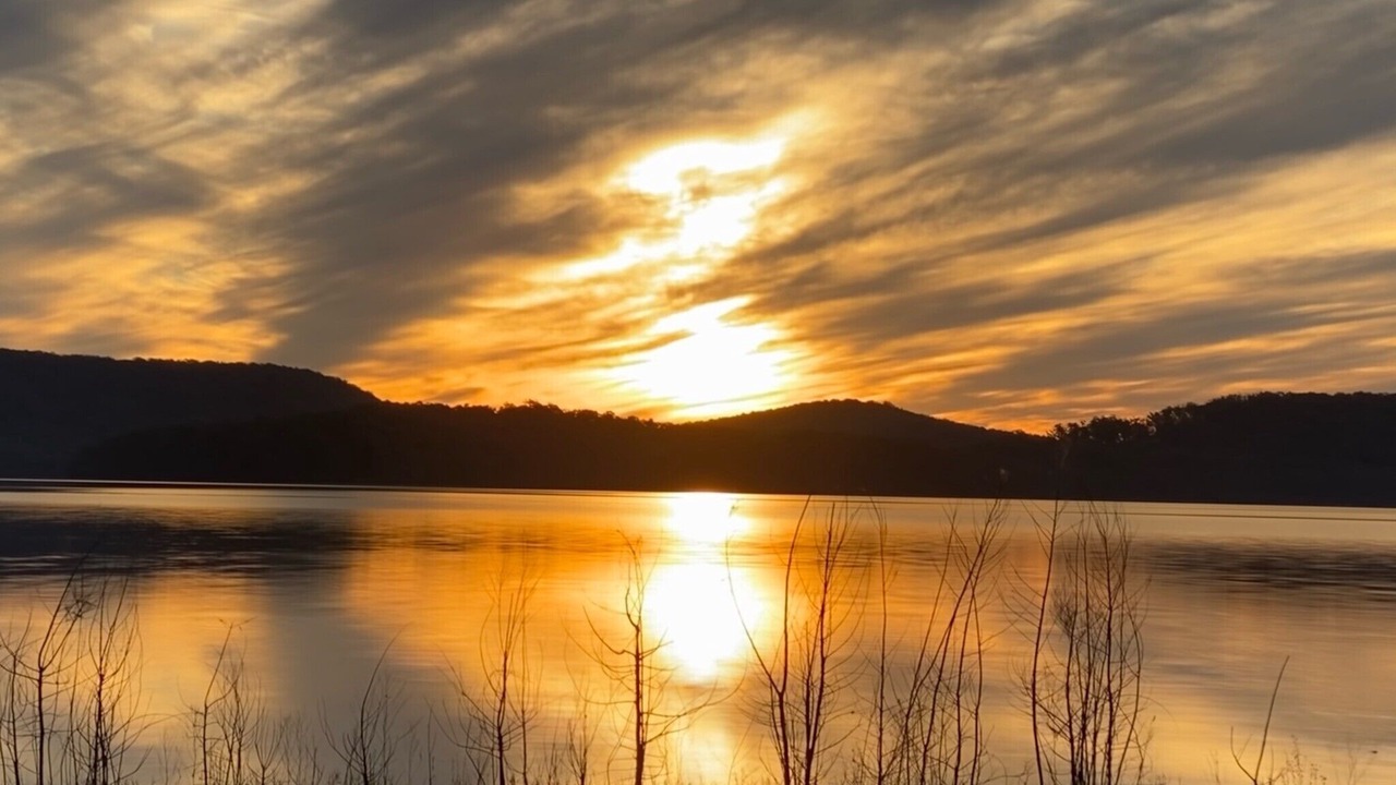 Photo of Outdoor in Smiths Lake