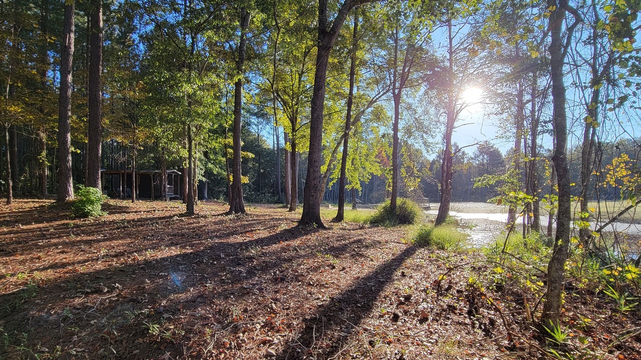 Photo of Outdoor in Reynolds