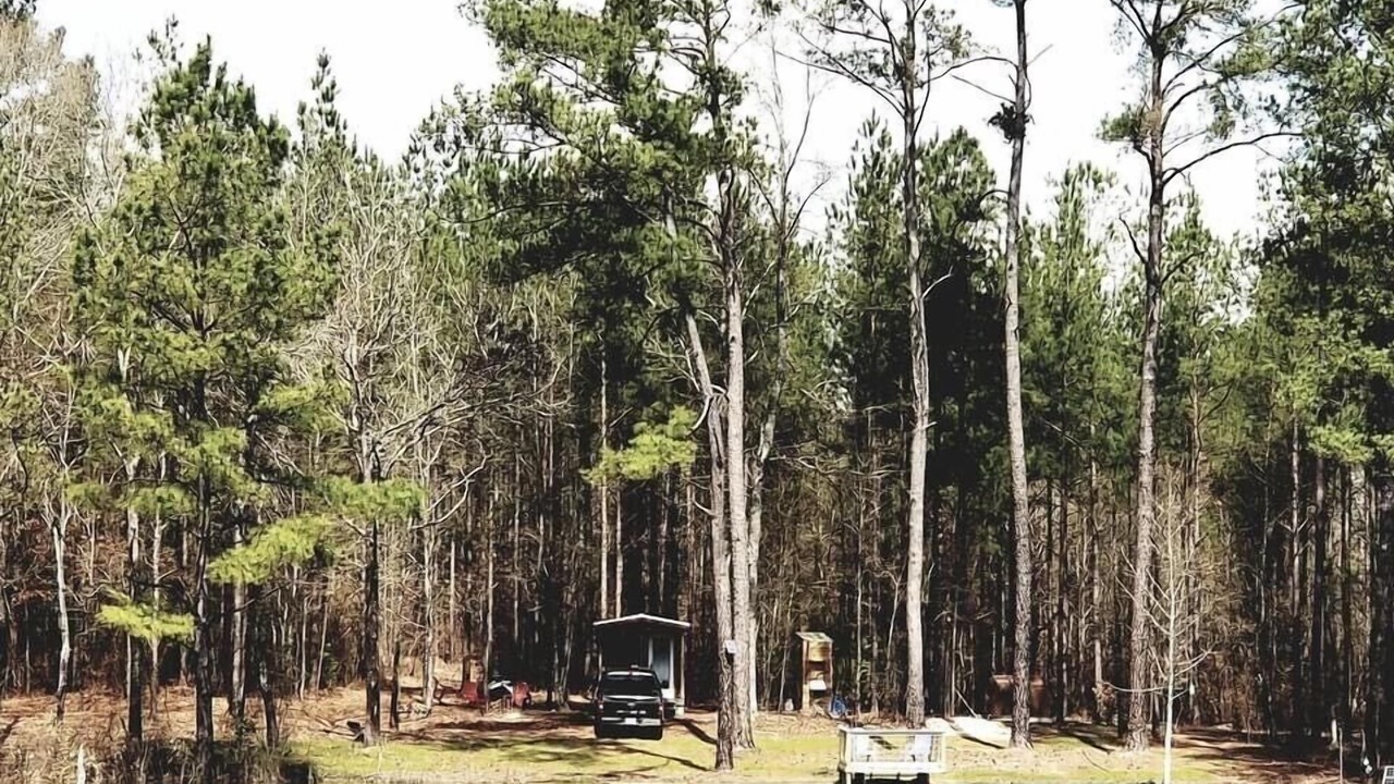 Photo of Outdoor in Reynolds