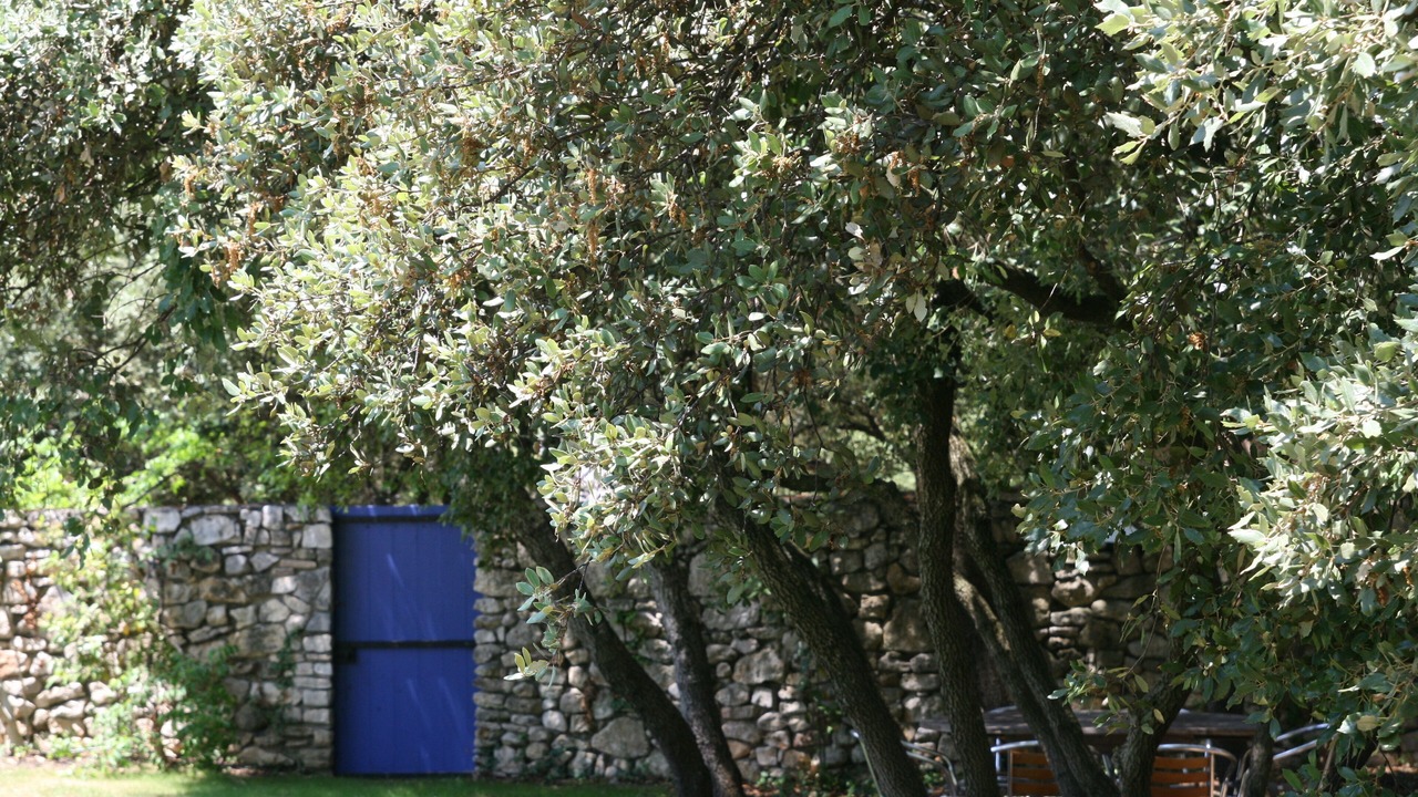 Photo of Outdoor in Restinclieres