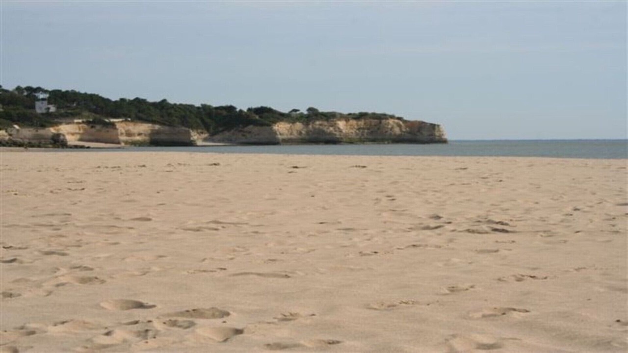 Photo of Others in Mortagne-sur-Gironde