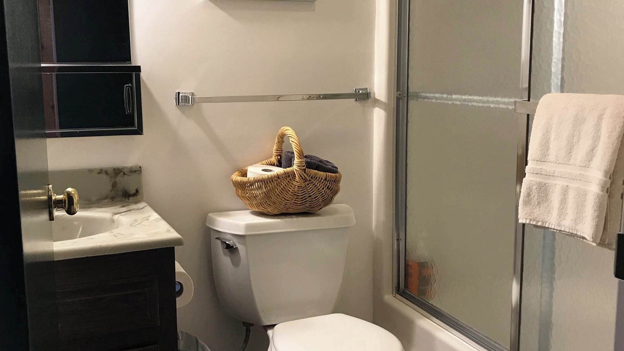 Photo of Bathroom in Bromley Mountain