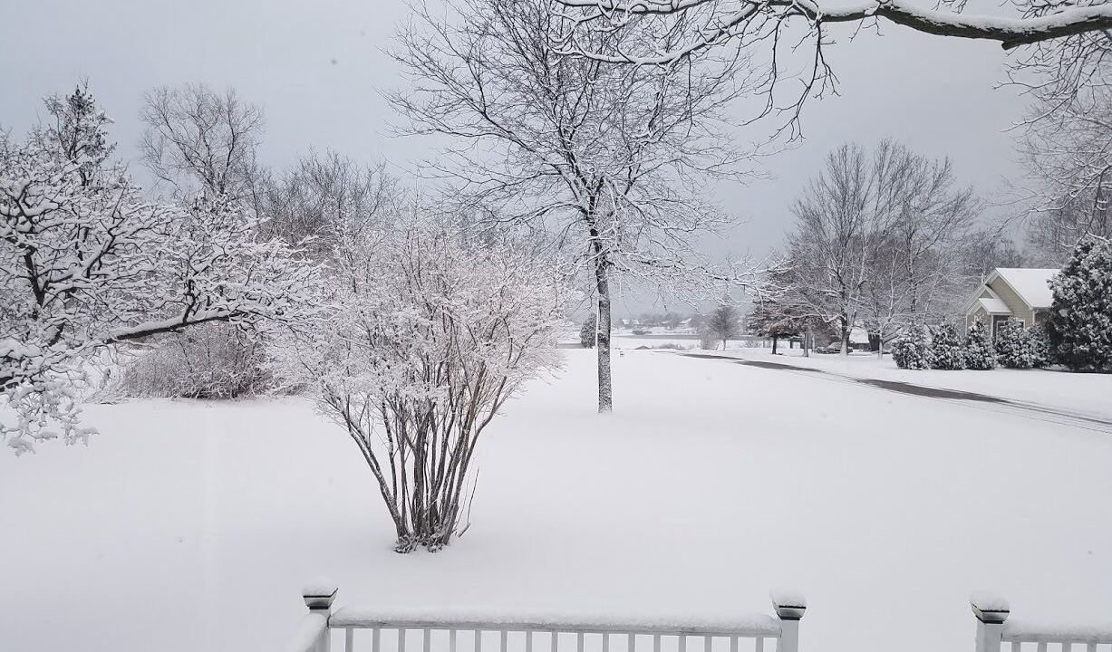 Photo of Outdoor in Clayton
