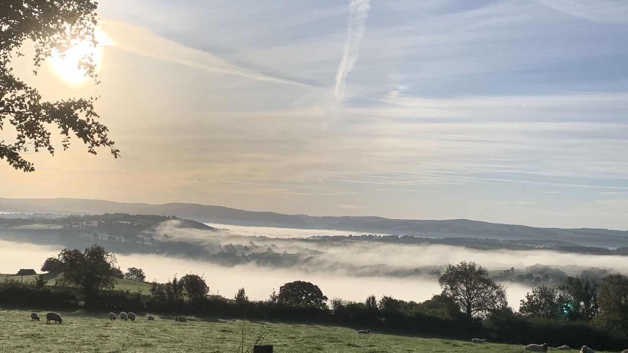 Photo of Others in Bethania