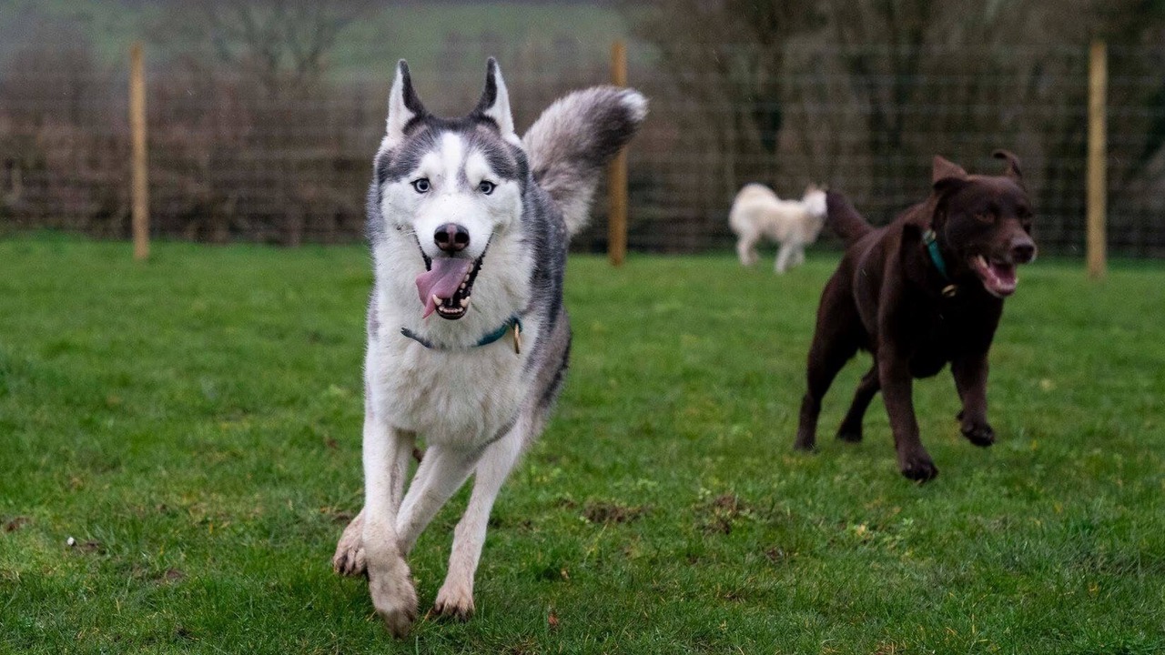 Photo of Others in Bethania