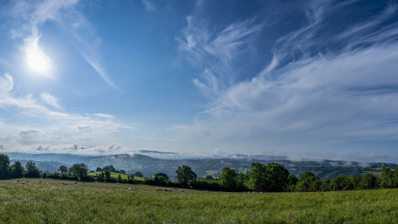 Photo of Others in Bethania