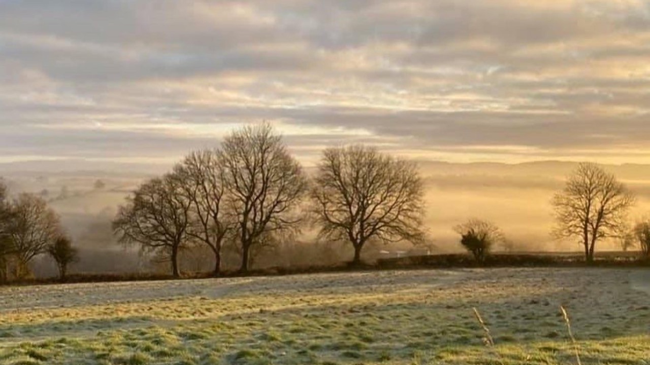 Photo of Others in Bethania