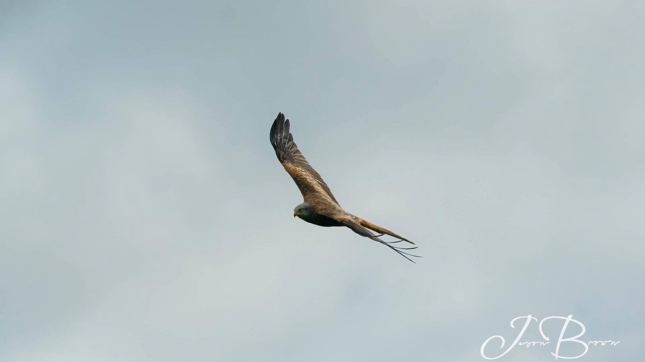 Photo of Others in Bethania