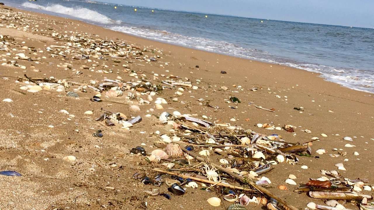 Photo of Others in Cabourg