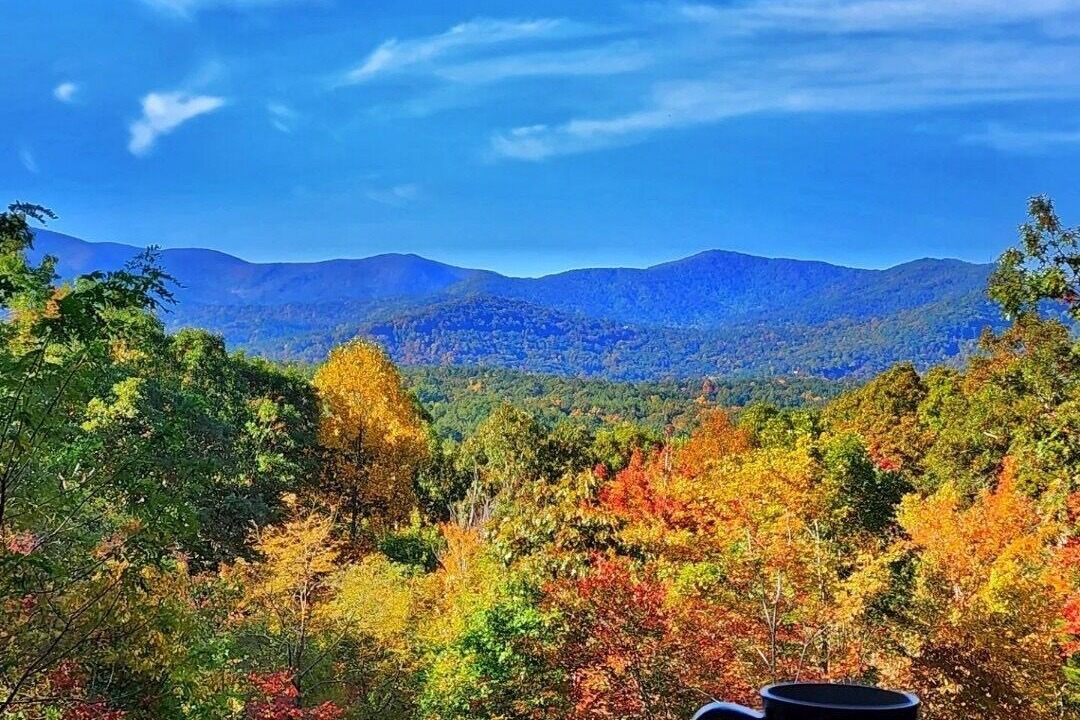 Photo of Others in Morganton