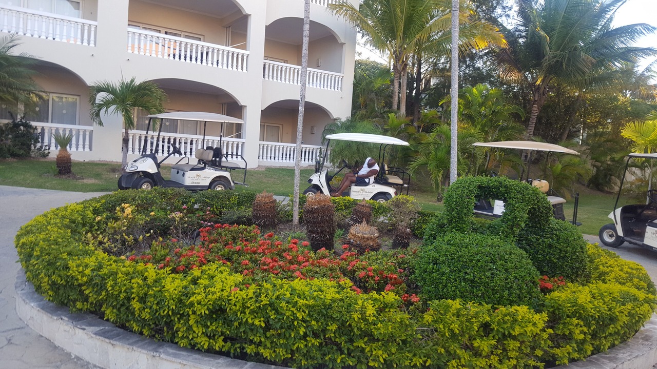 Photo of Outdoor in Los Brazos