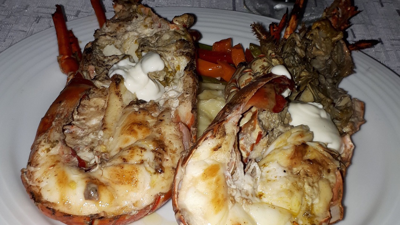 Photo of Others in Los Brazos