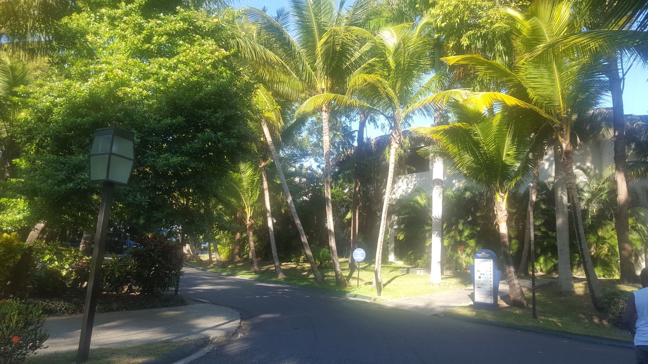 Photo of Outdoor in Los Brazos