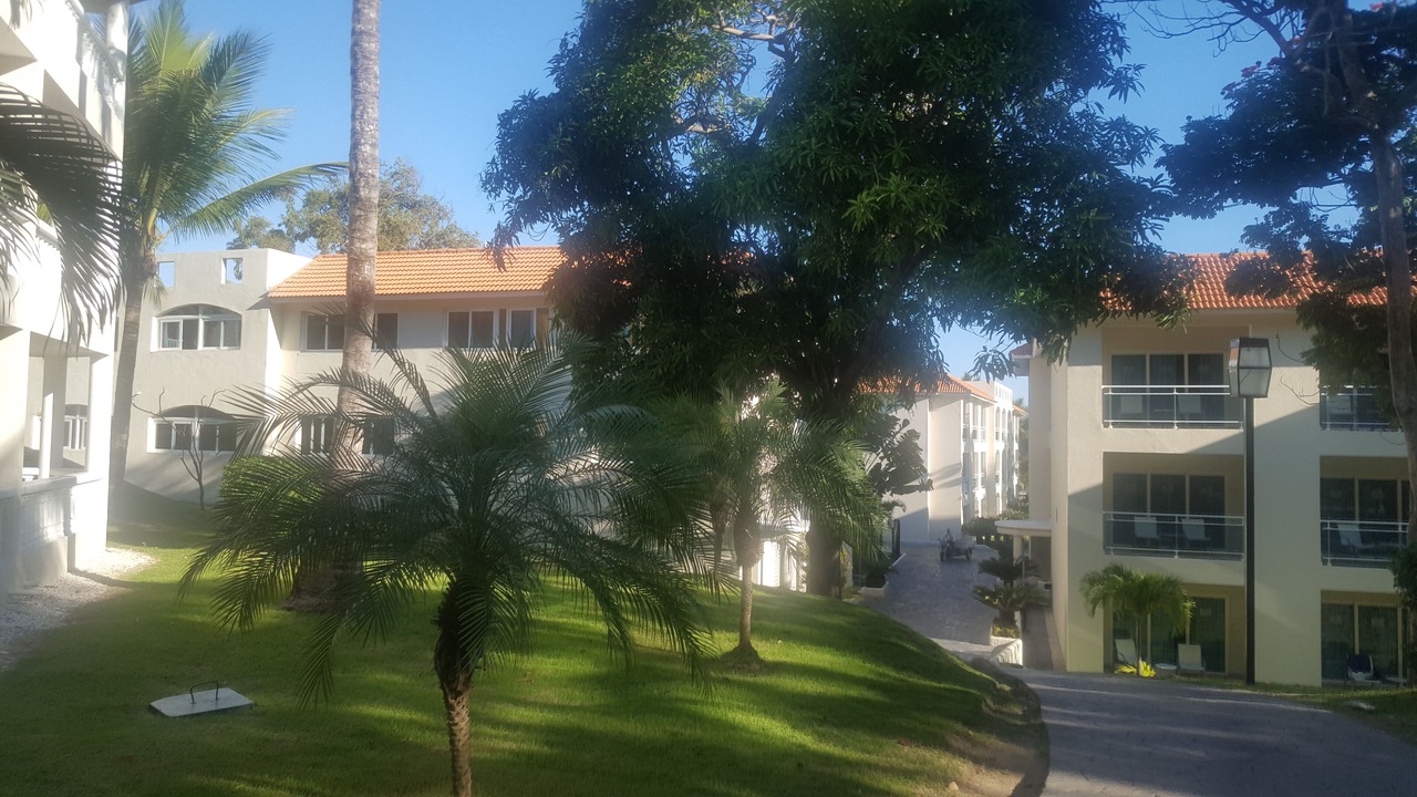 Photo of Outdoor in Los Brazos