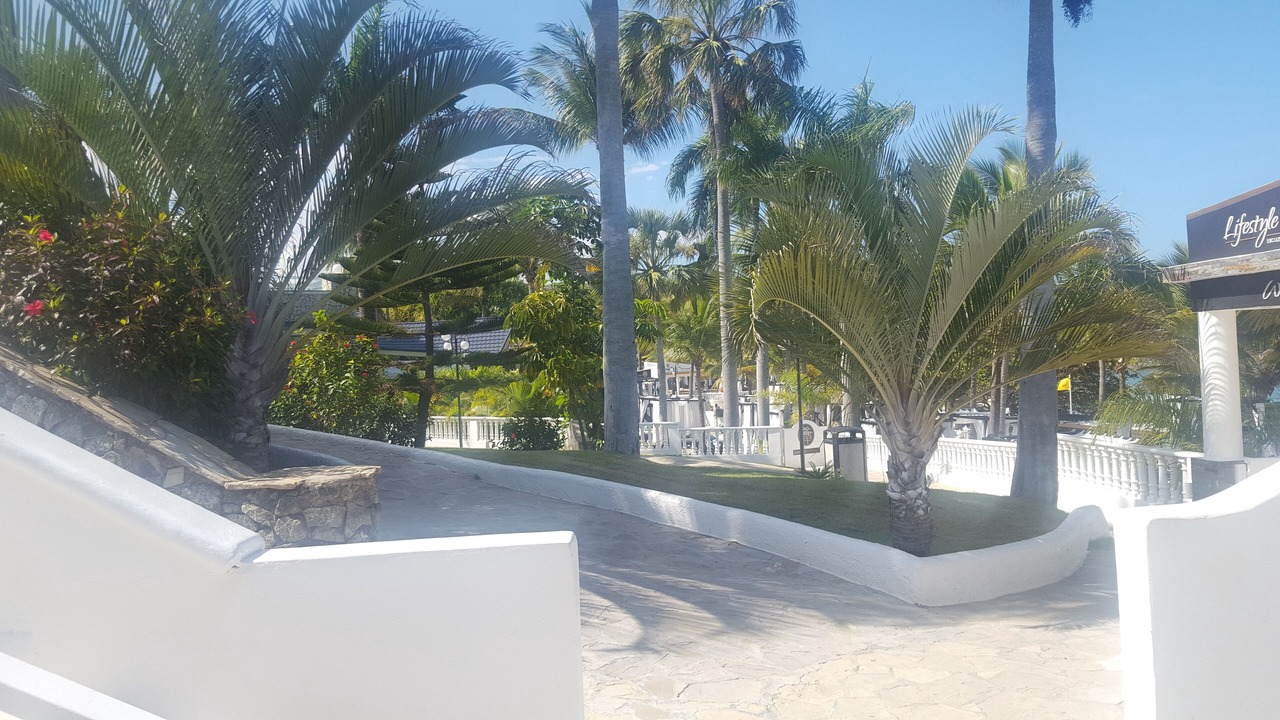 Photo of Outdoor in Los Brazos