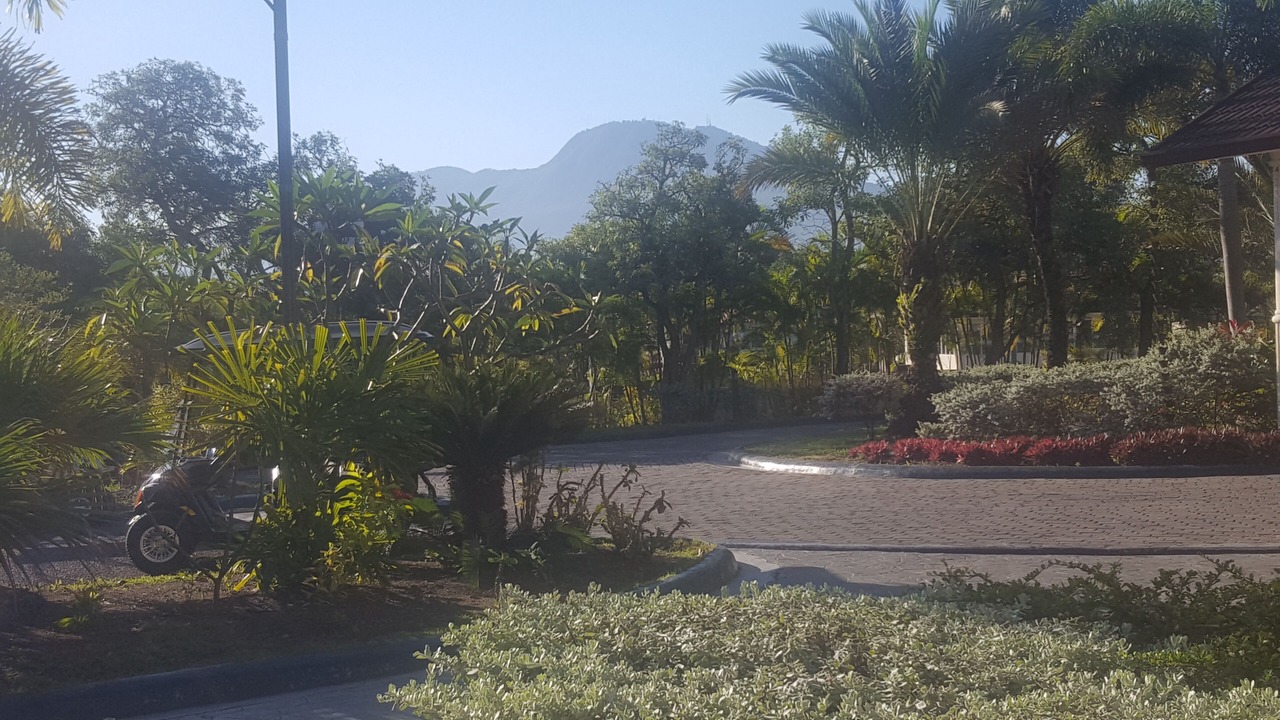 Photo of Outdoor in Los Brazos