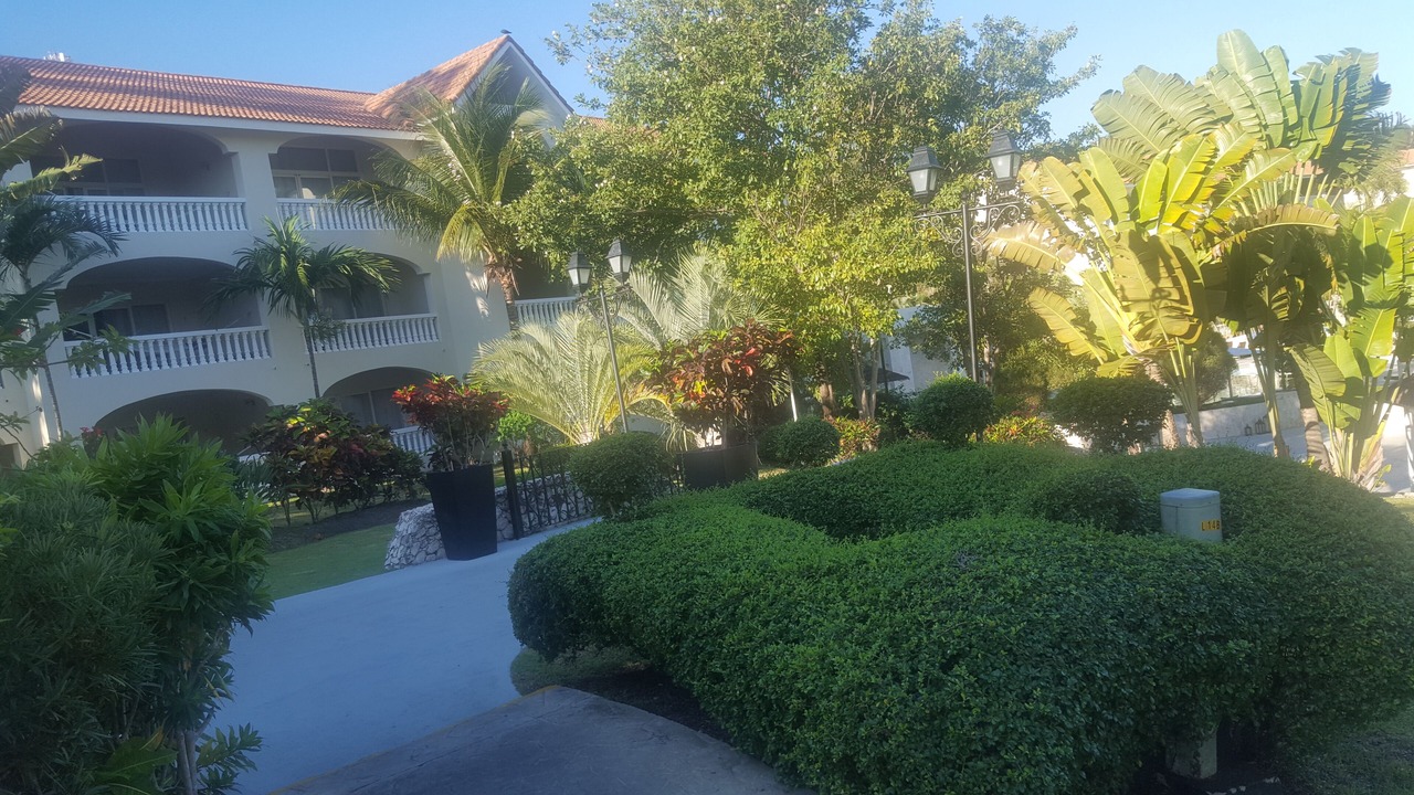 Photo of Outdoor in Los Brazos