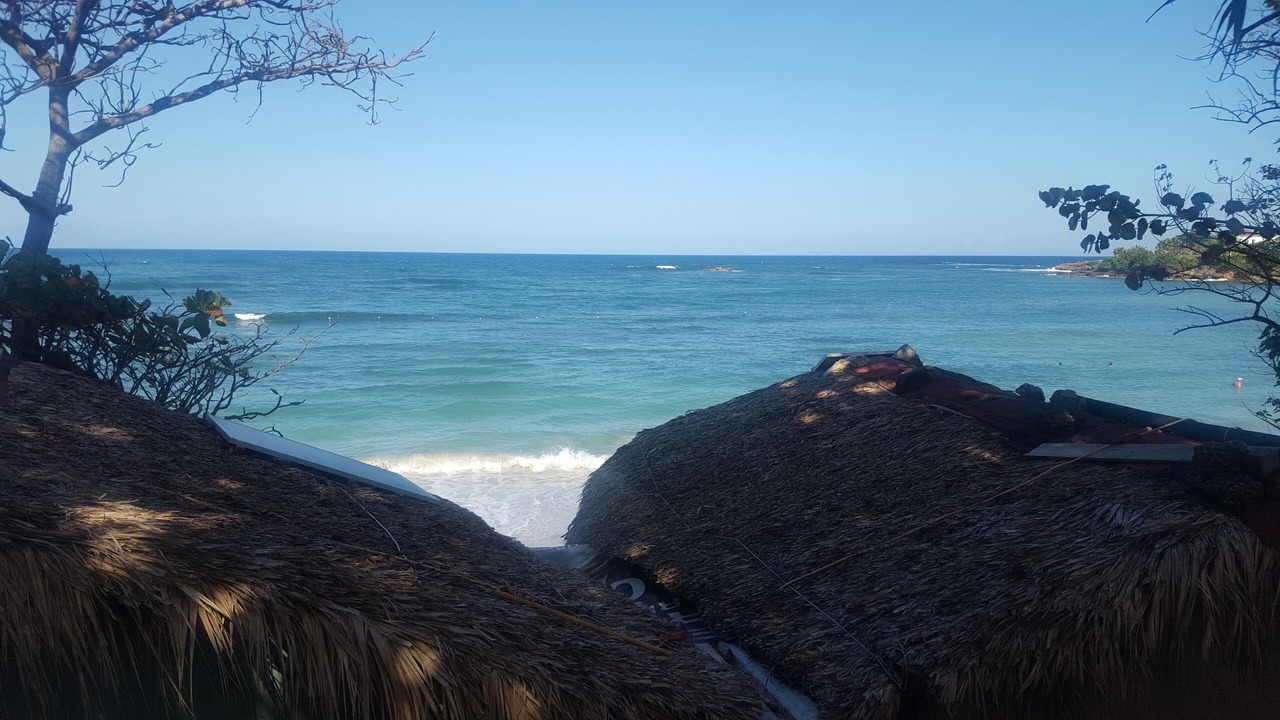 Photo of Others in Los Brazos