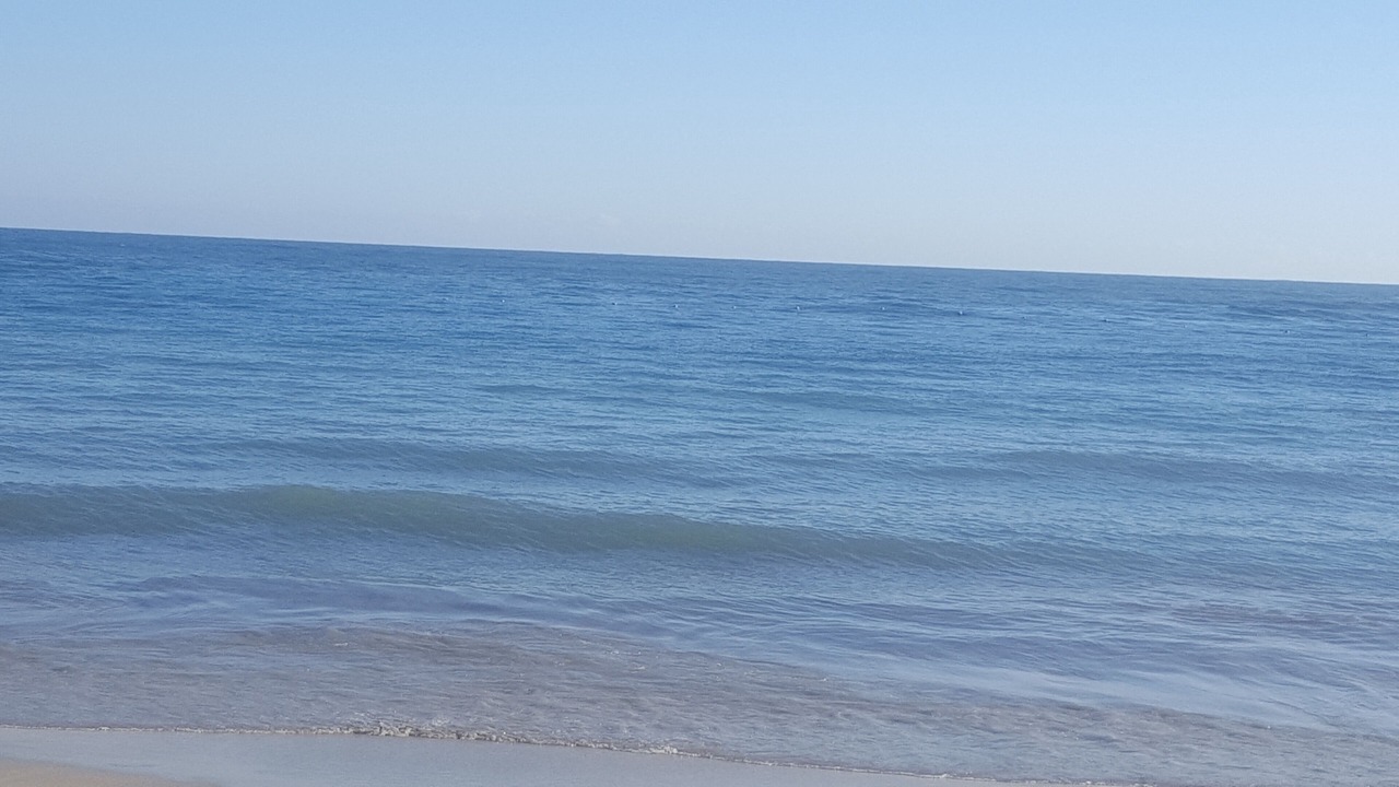 Photo of Others in Los Brazos