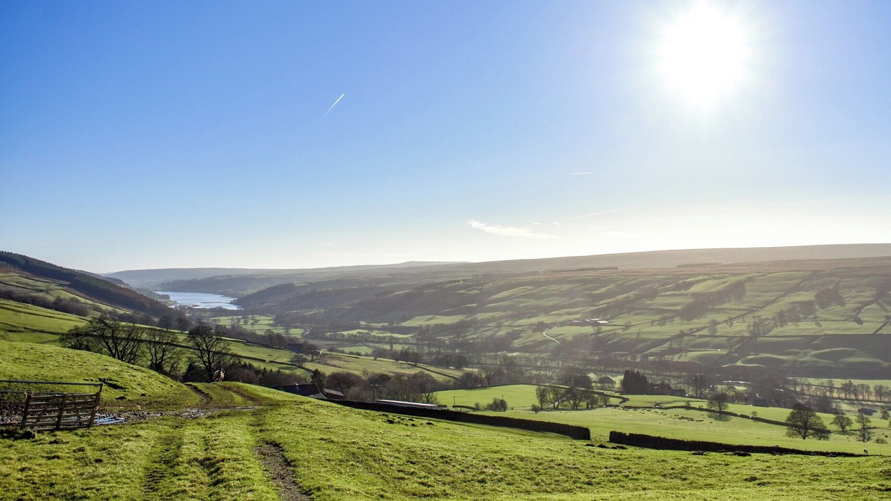 Photo of Others in Lofthouse