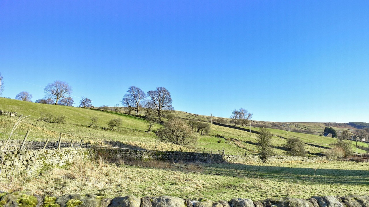 Photo of Others in Lofthouse