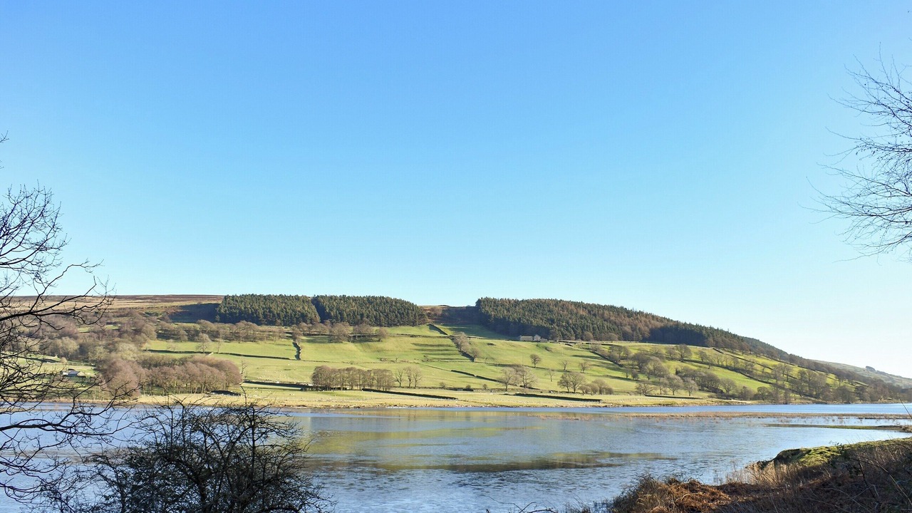 Photo of Others in Lofthouse