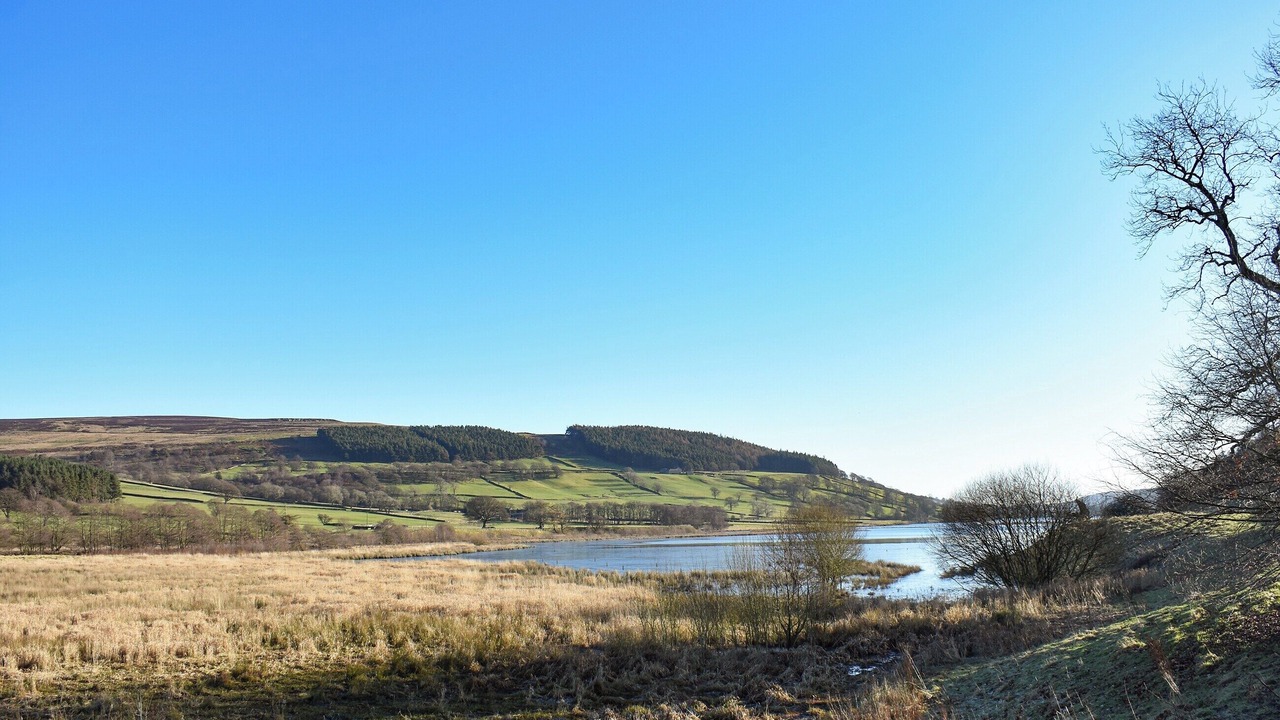 Photo of Others in Lofthouse