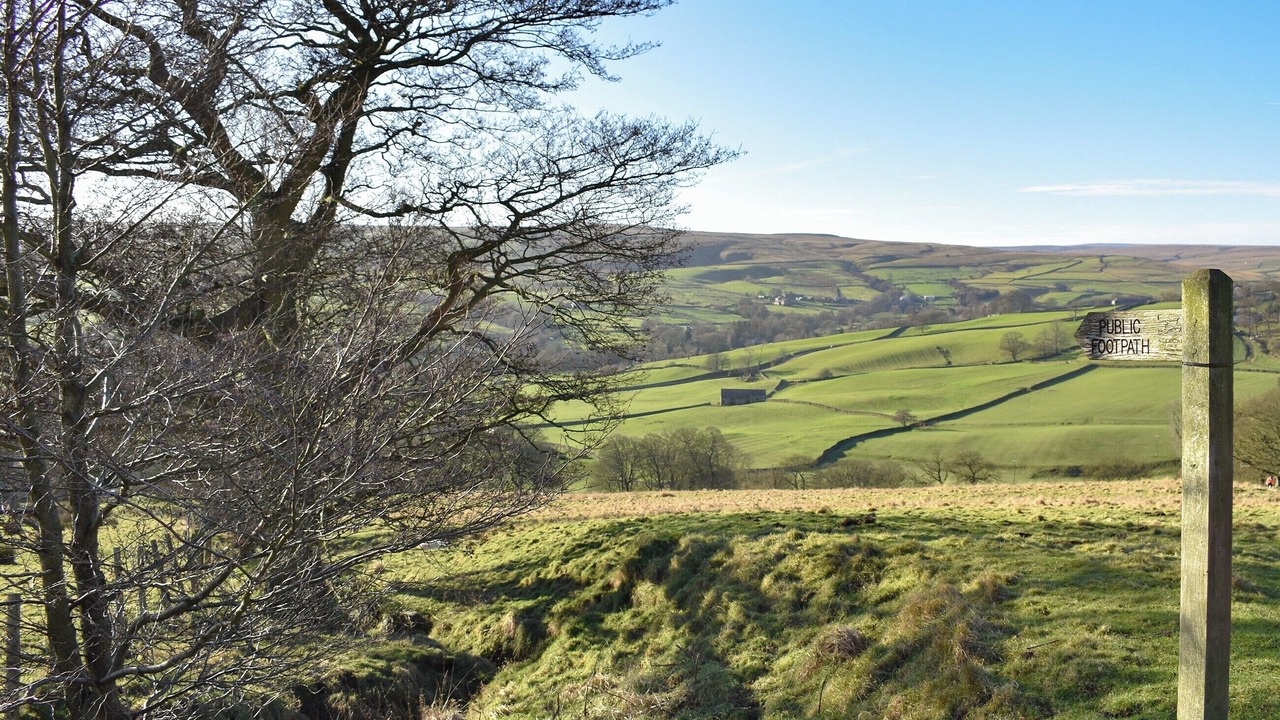 Photo of Others in Lofthouse