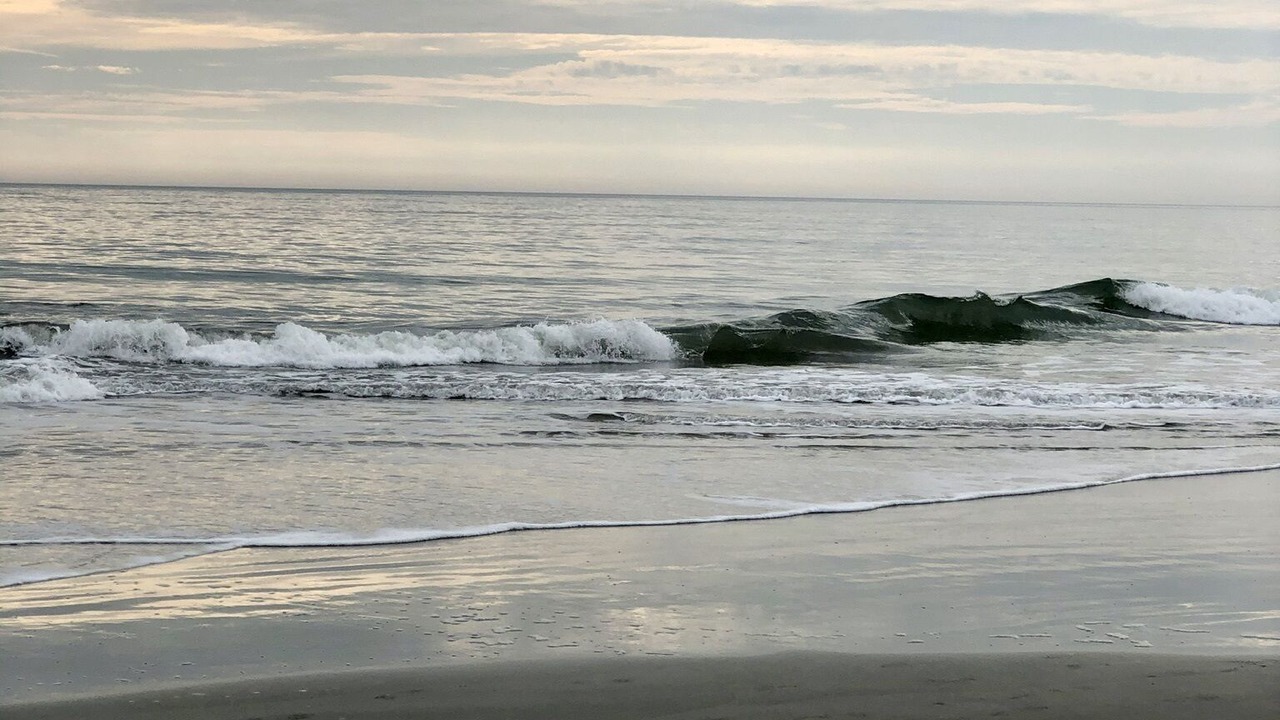 Photo of Others in Murrells Inlet