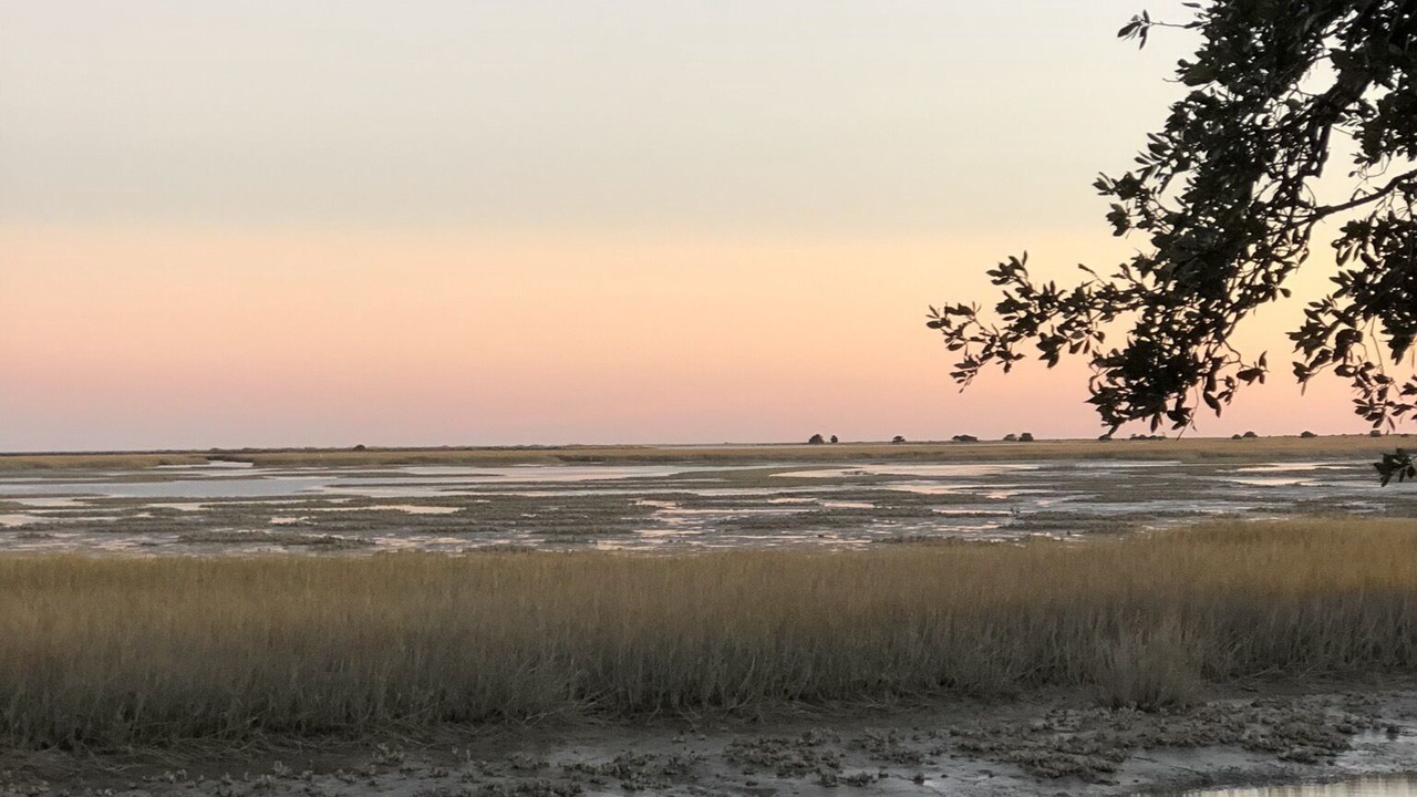 Photo of Others in Murrells Inlet