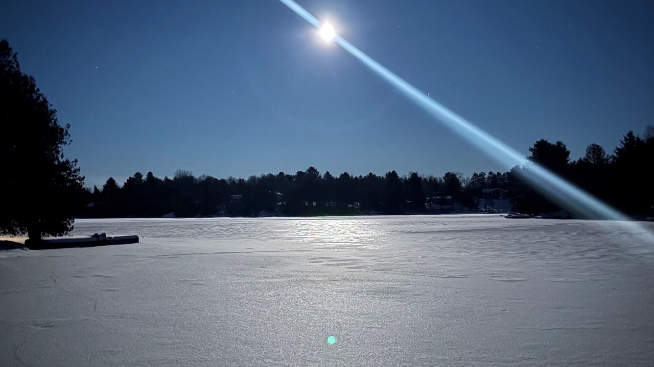 Photo of Others in McKellar