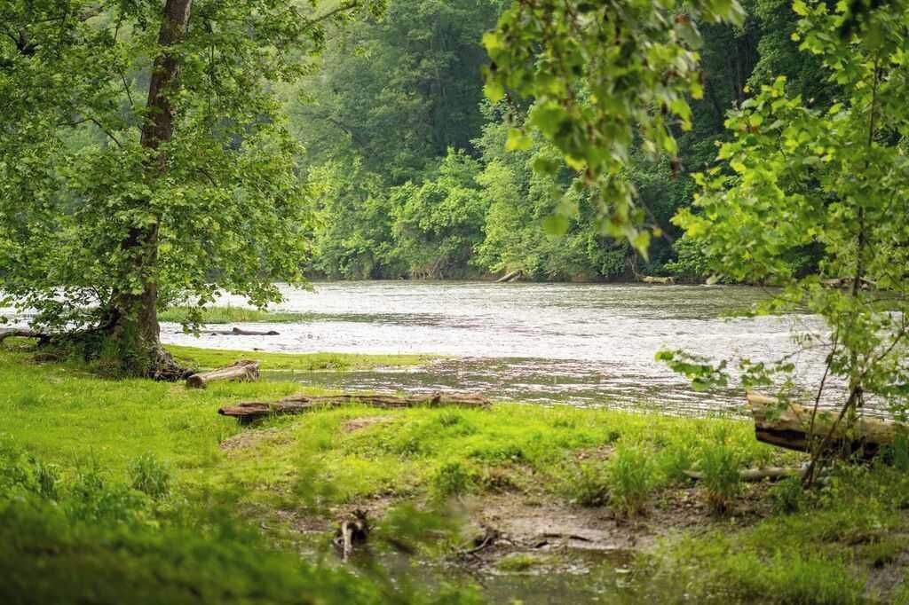 Photo of Others in Fishers Hill