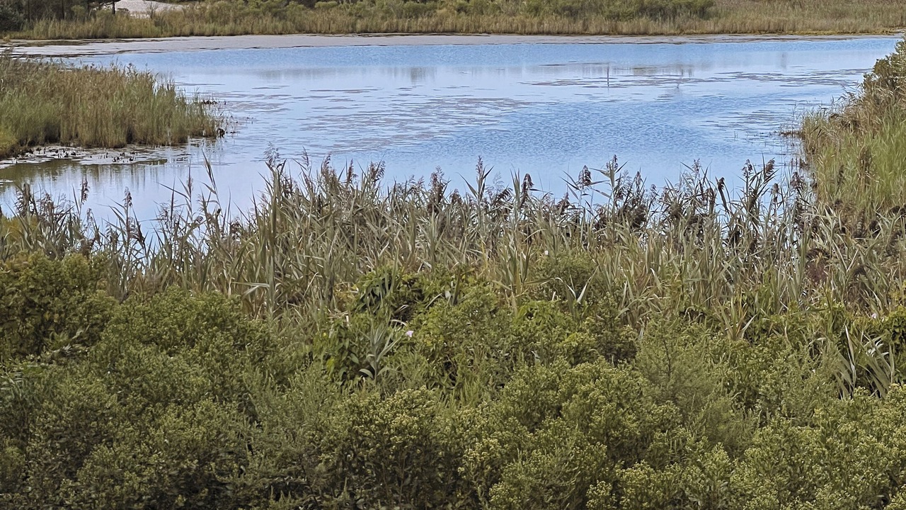 Photo of Others in Lion Head Beach