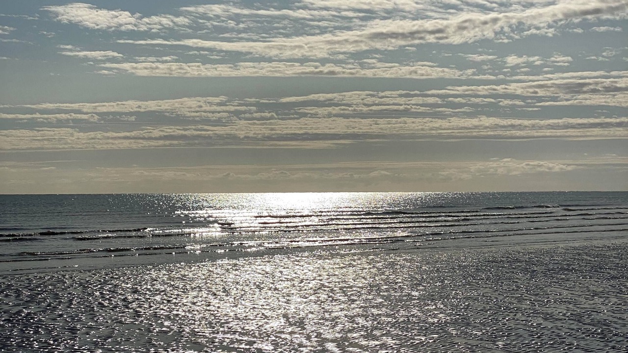 Photo of Others in Saint-Marcouf