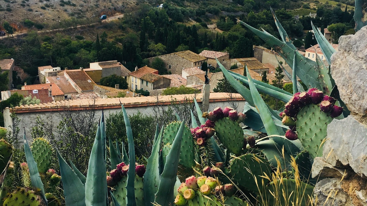 Photo of Outdoor in Fitou