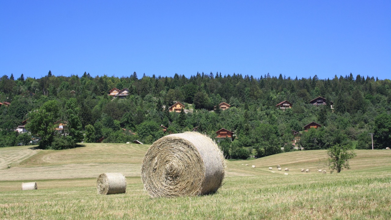 Photo of Others in Foncine-le-Haut
