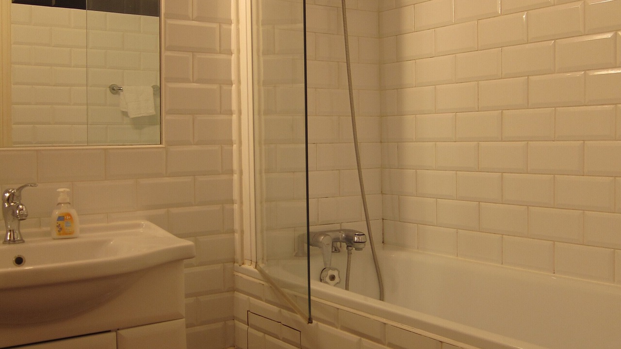 Photo of Bathroom in Notre Dame
