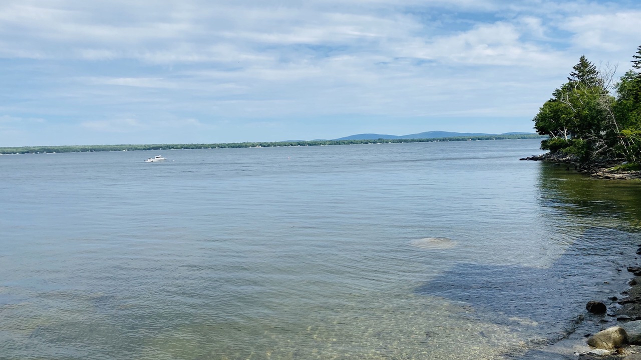 Photo of Others in Surry